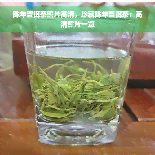 陈年普洱茶照片高清，珍藏陈年普洱茶：高清照片一览