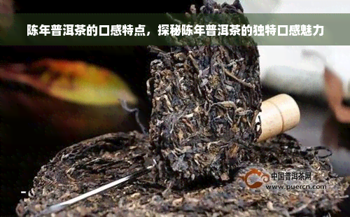 陈年普洱茶的口感特点，探秘陈年普洱茶的独特口感魅力