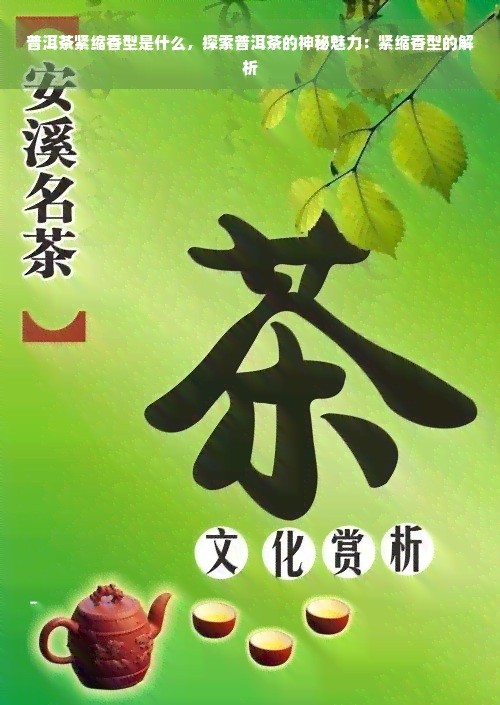 普洱茶紧缩香型是什么，探索普洱茶的神秘魅力：紧缩香型的解析