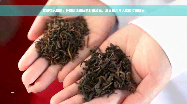 普洱茶玩家级：骨灰级顶级玩家打造顶级，业界泰斗与大佬的传奇故事