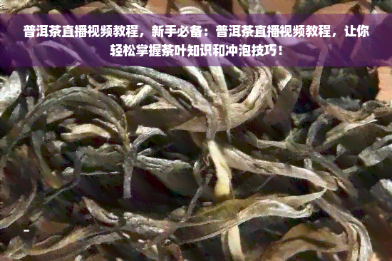 普洱茶直播视频教程，新手必备：普洱茶直播视频教程，让你轻松掌握茶叶知识和冲泡技巧！