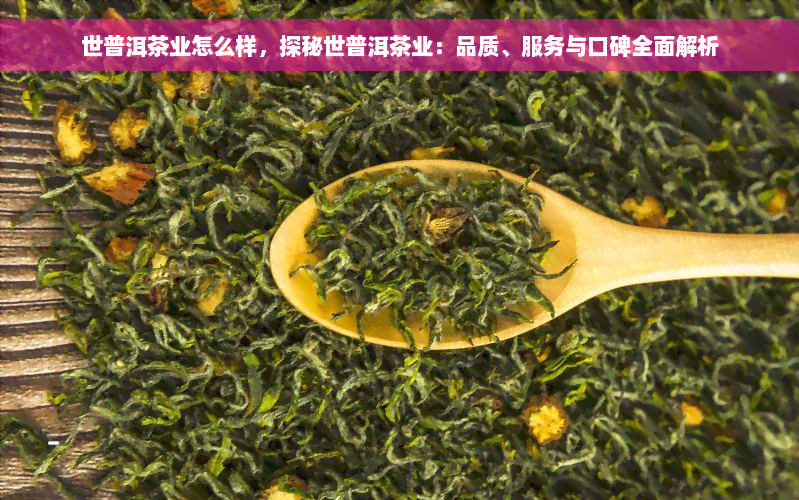 世普洱茶业怎么样，探秘世普洱茶业：品质、服务与口碑全面解析