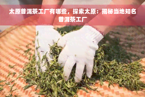 太原普洱茶工厂有哪些，探索太原：揭秘当地知名普洱茶工厂