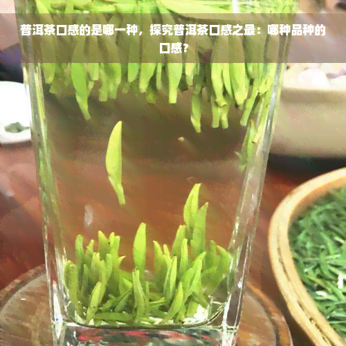 普洱茶口感的是哪一种，探究普洱茶口感之最：哪种品种的口感？