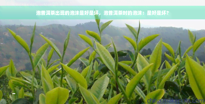 泡普洱茶出现的泡沫是好是坏，泡普洱茶时的泡沫：是好是坏？