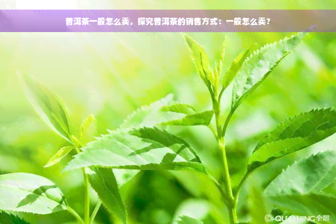 普洱茶一般怎么卖，探究普洱茶的销售方式：一般怎么卖？