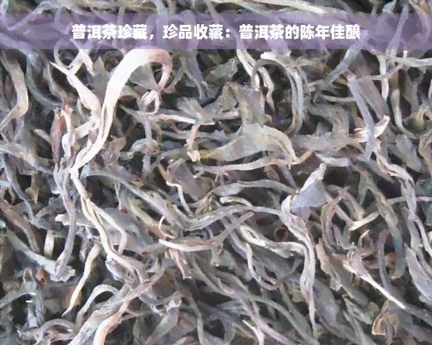 普洱茶珍藏，珍品收藏：普洱茶的陈年佳酿