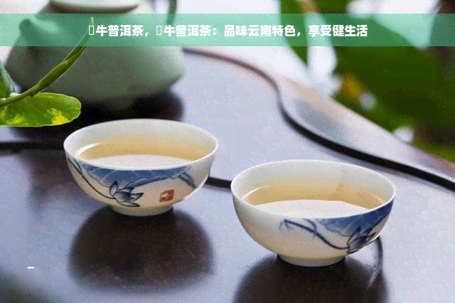 犇牛普洱茶，犇牛普洱茶：品味云南特色，享受健生活