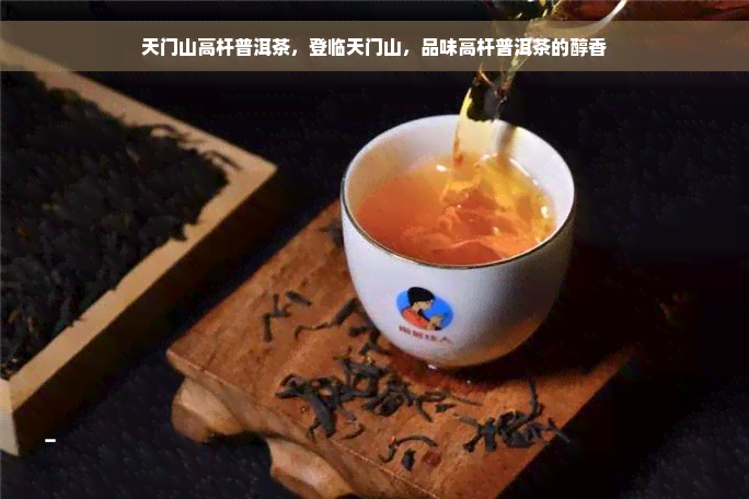 天门山高杆普洱茶，登临天门山，品味高杆普洱茶的醇香