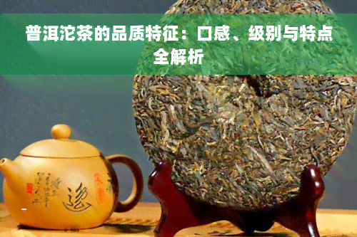 普洱沱茶的品质特征：口感、级别与特点全解析