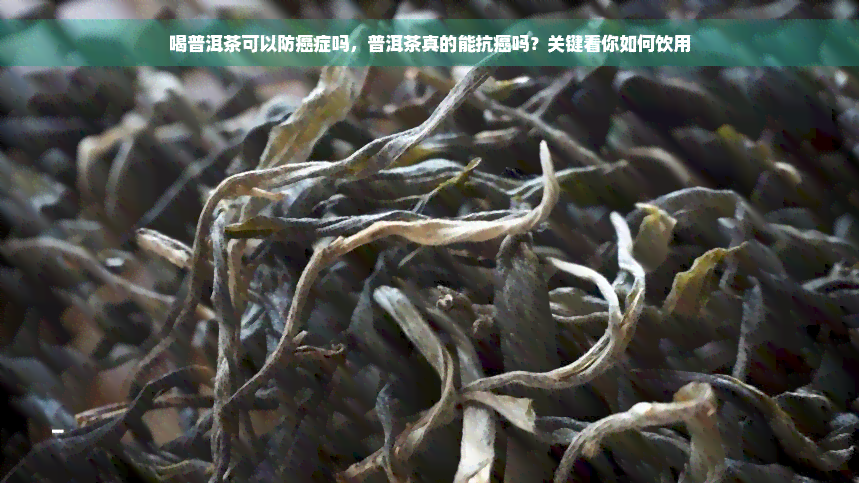 喝普洱茶可以防癌症吗，普洱茶真的能抗癌吗？关键看你如何饮用