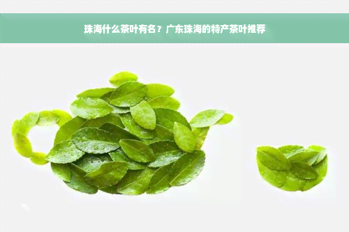 珠海什么茶叶有名？广东珠海的特产茶叶推荐