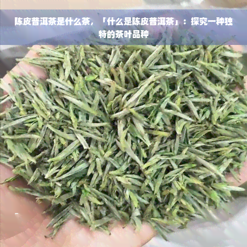 陈皮普洱茶是什么茶，「什么是陈皮普洱茶」：探究一种独特的茶叶品种