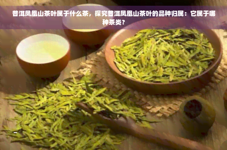 普洱凤凰山茶叶属于什么茶，探究普洱凤凰山茶叶的品种归属：它属于哪种茶类？