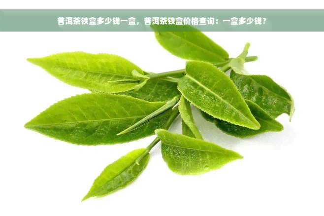 普洱茶铁盒多少钱一盒，普洱茶铁盒价格查询：一盒多少钱？