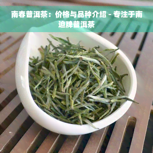 南春普洱茶：价格与品种介绍 - 专注于南迫牌普洱茶