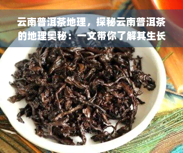 云南普洱茶地理，探秘云南普洱茶的地理奥秘：一文带你了解其生长环境与独特韵味