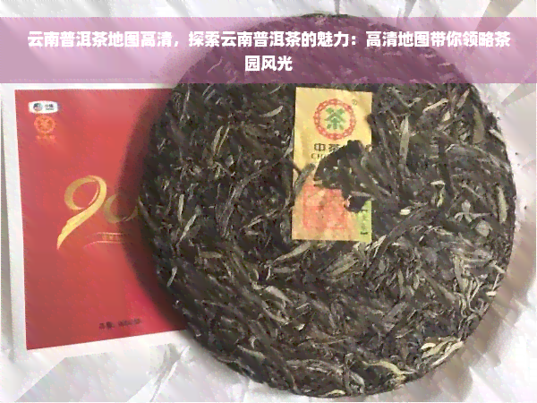 云南普洱茶地图高清，探索云南普洱茶的魅力：高清地图带你领略茶园风光