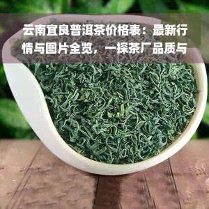 云南宜良普洱茶价格表：最新行情与图片全览，一探茶厂品质与口碑