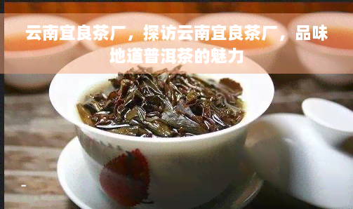 云南宜良茶厂，探访云南宜良茶厂，品味地道普洱茶的魅力