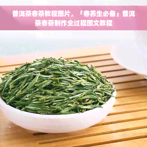 普洱茶春茶教程图片，「春养生必备」普洱茶春茶制作全过程图文教程