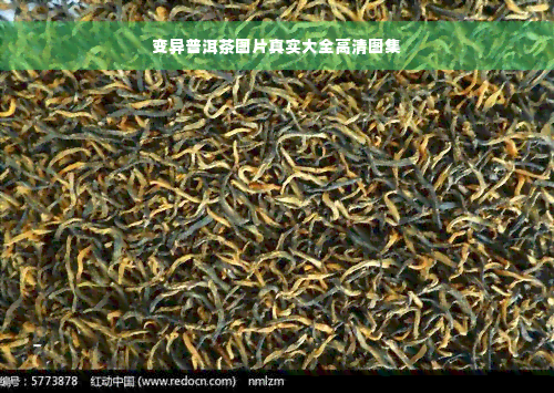 变异普洱茶图片真实大全高清图集