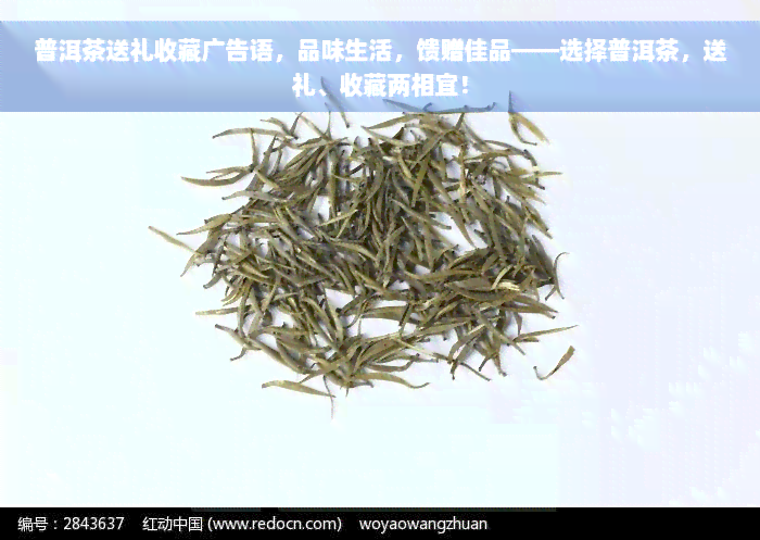 普洱茶送礼收藏广告语，品味生活，馈赠佳品——选择普洱茶，送礼、收藏两相宜！