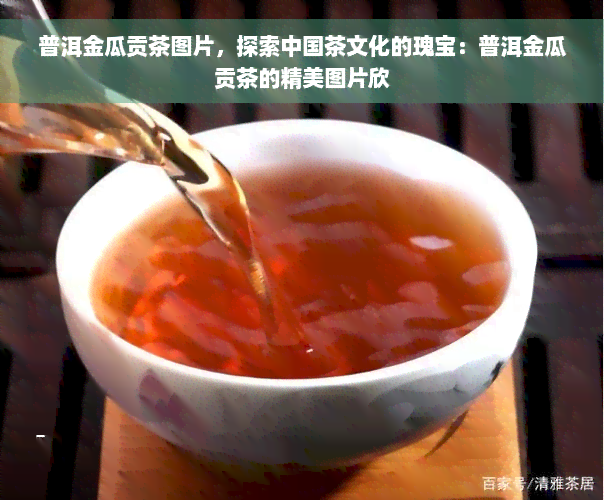 普洱金瓜贡茶图片，探索中国茶文化的瑰宝：普洱金瓜贡茶的精美图片欣