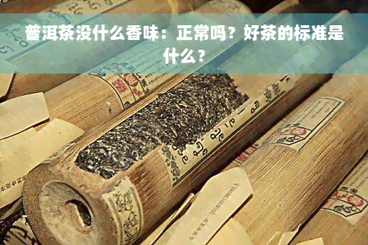 普洱茶没什么香味：正常吗？好茶的标准是什么？