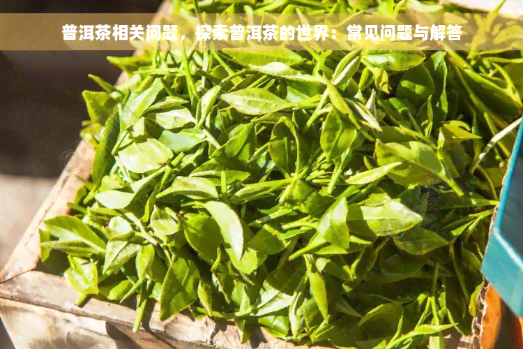 普洱茶相关问题，探索普洱茶的世界：常见问题与解答