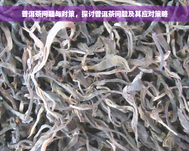 普洱茶问题与对策，探讨普洱茶问题及其应对策略