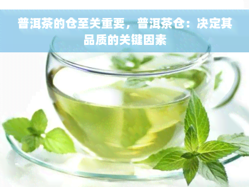 普洱茶的仓至关重要，普洱茶仓：决定其品质的关键因素