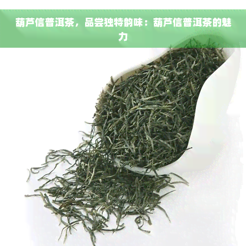 葫芦信普洱茶，品尝独特韵味：葫芦信普洱茶的魅力