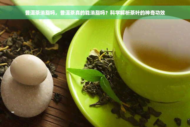 普洱茶消脂吗，普洱茶真的能消脂吗？科学解析茶叶的神奇功效