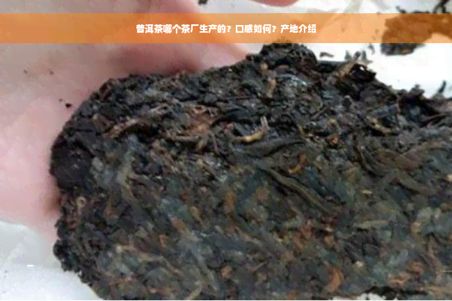 普洱茶哪个茶厂生产的？口感如何？产地介绍