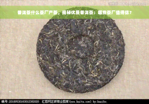 普洱茶什么茶厂产茶，揭秘优质普洱茶：哪些茶厂值得信？