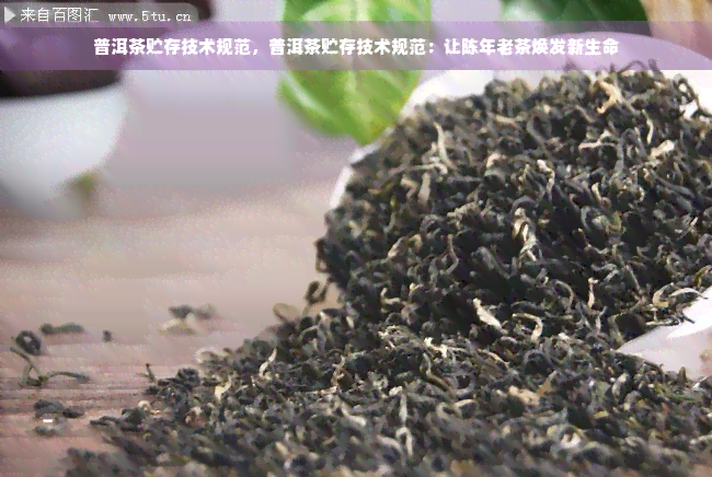 普洱茶贮存技术规范，普洱茶贮存技术规范：让陈年老茶焕发新生命