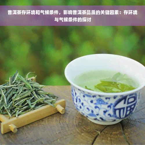 普洱茶存环境和气候条件，影响普洱茶品质的关键因素：存环境与气候条件的探讨