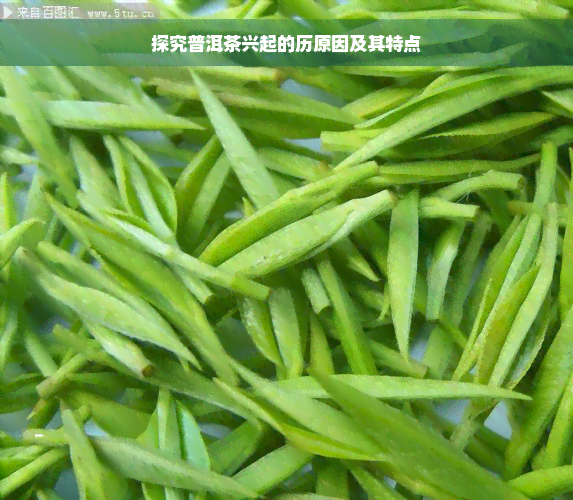 探究普洱茶兴起的历原因及其特点