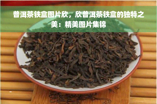 普洱茶铁盒图片欣，欣普洱茶铁盒的独特之美：精美图片集锦