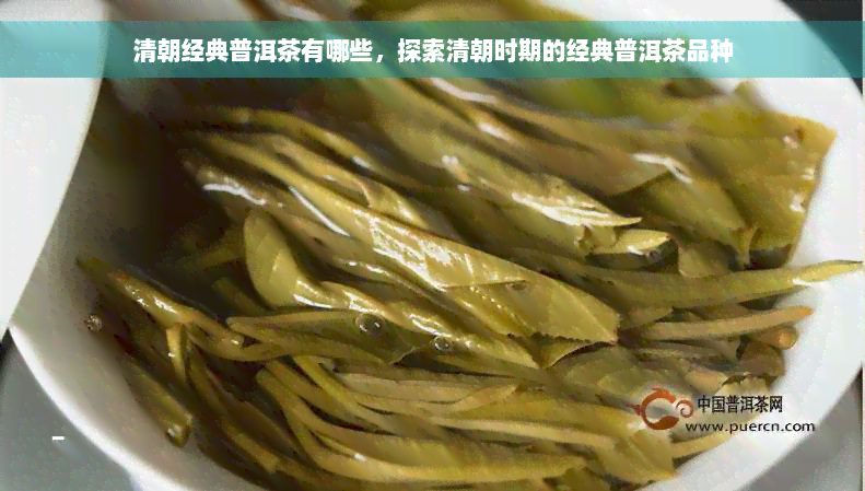 清朝经典普洱茶有哪些，探索清朝时期的经典普洱茶品种