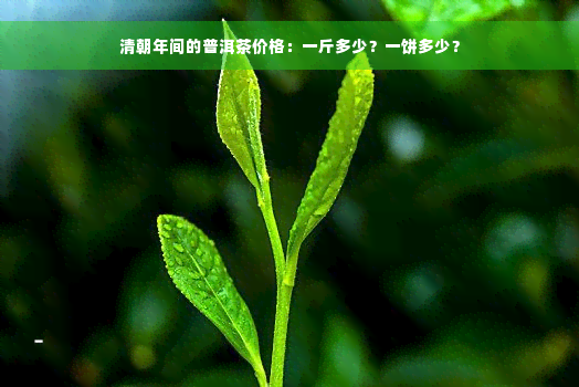 清朝年间的普洱茶价格：一斤多少？一饼多少？