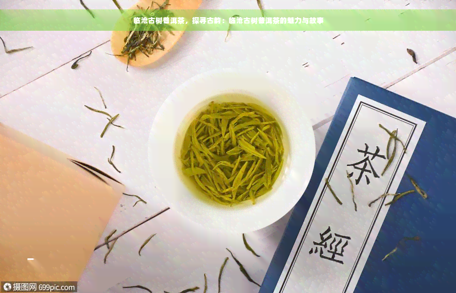 临沧古树普洱茶，探寻古韵：临沧古树普洱茶的魅力与故事