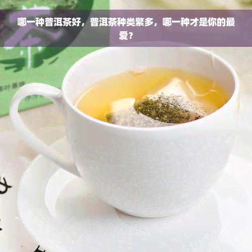 哪一种普洱茶好，普洱茶种类繁多，哪一种才是你的更爱？