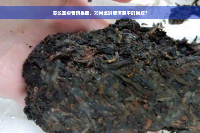 怎么鉴别普洱果胶，如何鉴别普洱茶中的果胶？