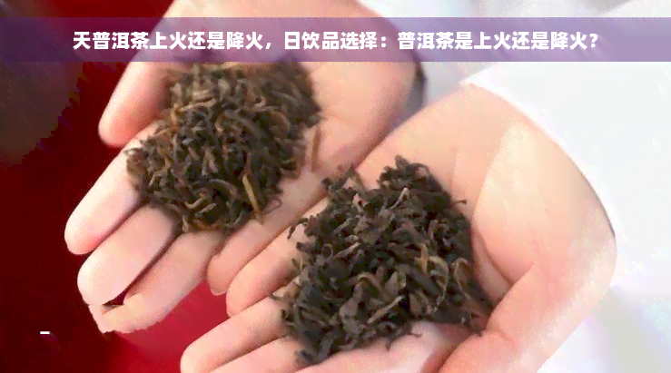 天普洱茶上火还是降火，日饮品选择：普洱茶是上火还是降火？