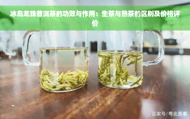 冰岛龙珠普洱茶的功效与作用：生茶与熟茶的区别及价格评价