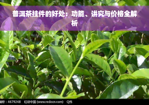 普洱茶挂件的好处：功能、讲究与价格全解析