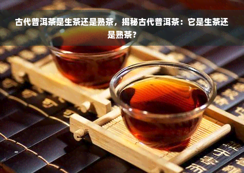 古代普洱茶是生茶还是熟茶，揭秘古代普洱茶：它是生茶还是熟茶？