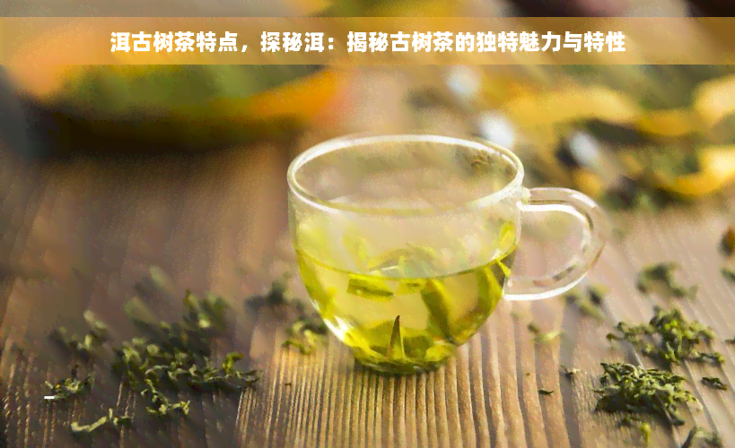 洱古树茶特点，探秘洱：揭秘古树茶的独特魅力与特性